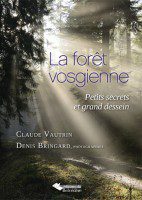 La forêt vosgienne - Claude VAUTRIN